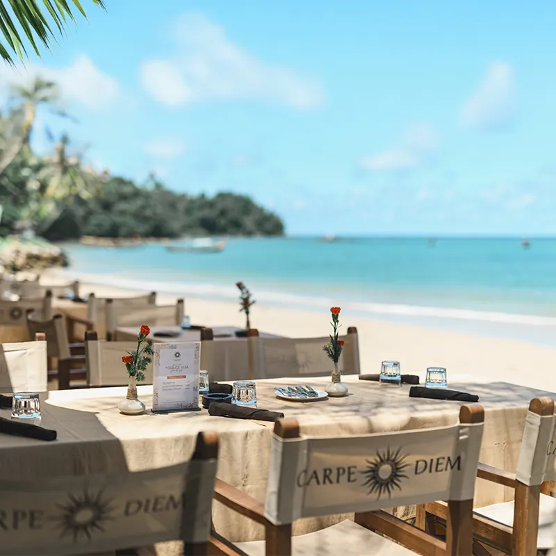 Carpe Diem · Phuket, THREE EXPERIENCES. ONE BRAND.