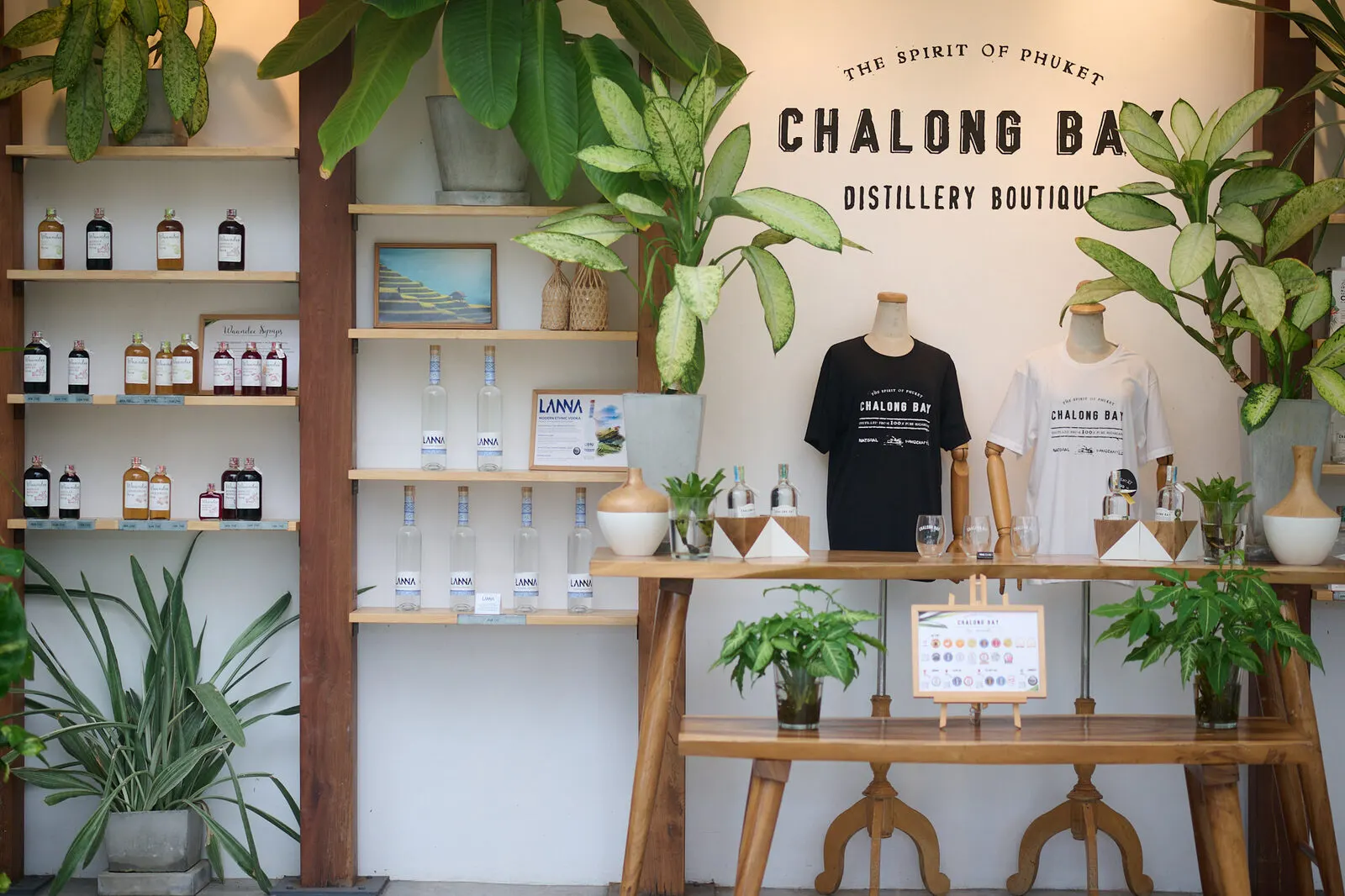 CHALONG BAY DISTILLERY TOUR, Social Media Management, SEO, Google and Meta ads