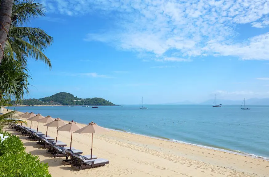 REVA SPA RESORTS, Website creation, Google and Meta ads