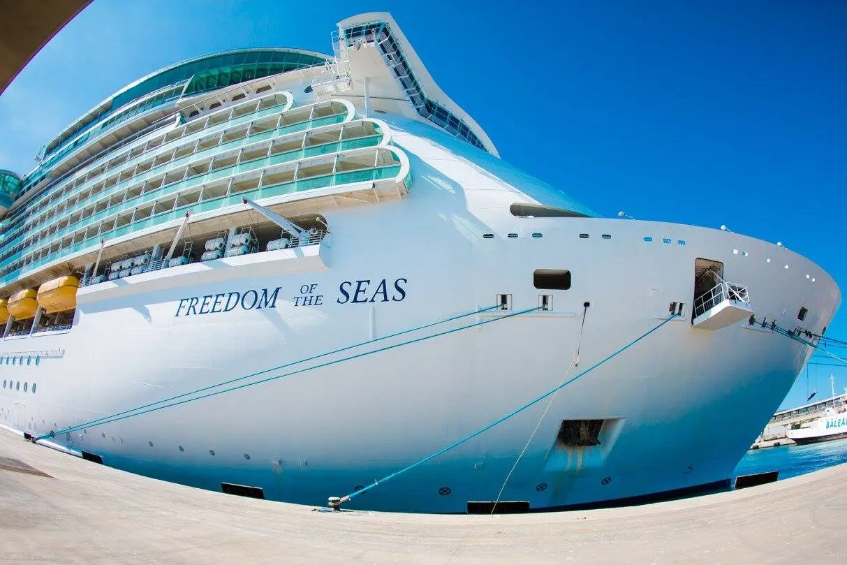 THE ARK CRUISE, Branding, ambassador program